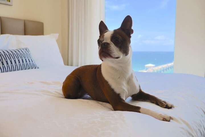 Wyndham Deerfield Beach Resort