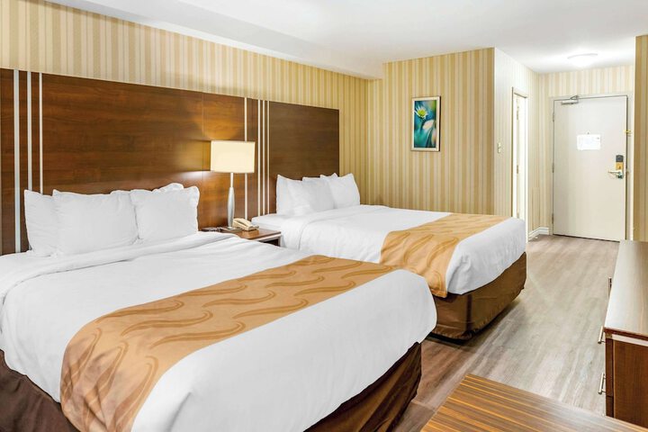 Quality Hotel & Suites