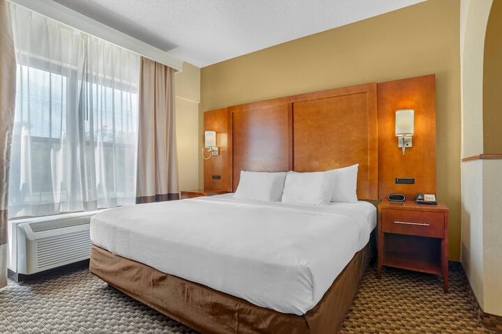 Comfort Suites Tallahassee Capitol - University Area