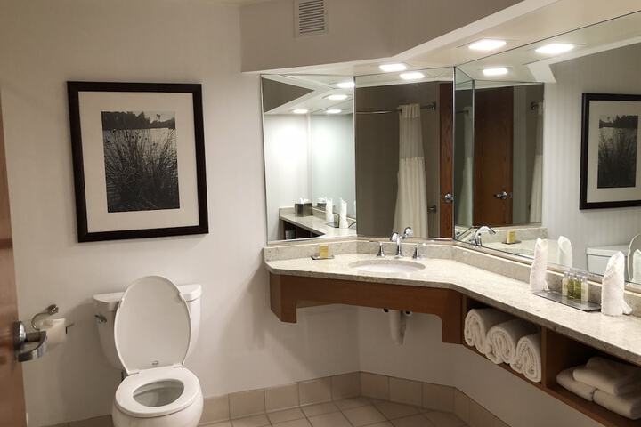 Wyndham Garden Buffalo Downtown