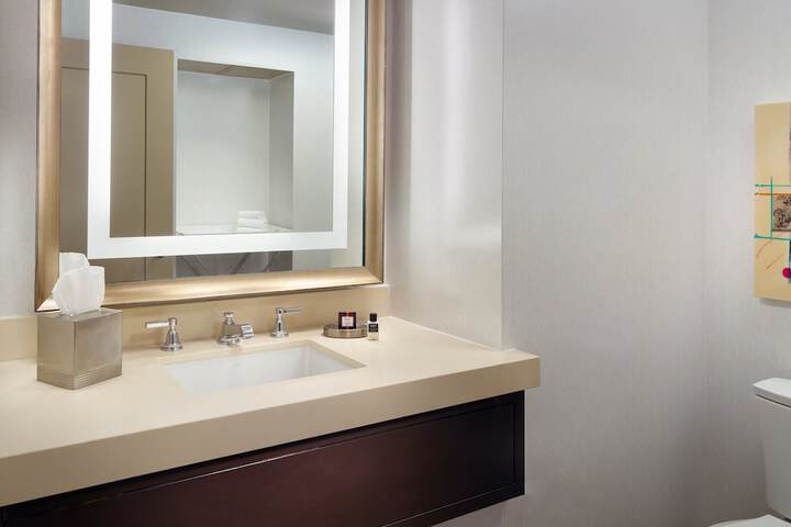 Omni Dallas Hotel