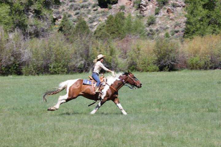 The Brush Creek Luxury Ranch Collection
