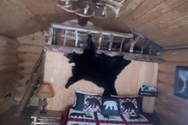 Wrangell Mountain Lodge