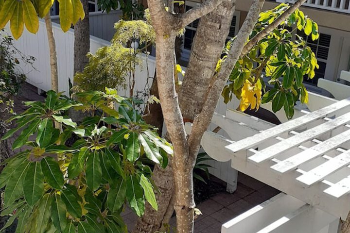 Tortuga Inn Beach Resort