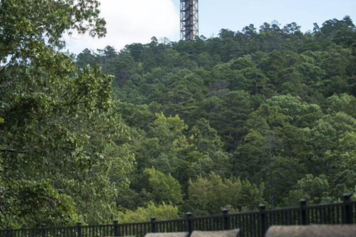 Arlington Resort Hotel and Spa