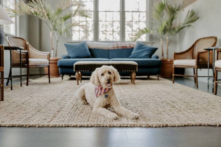 Pet Friendly 87 of 87