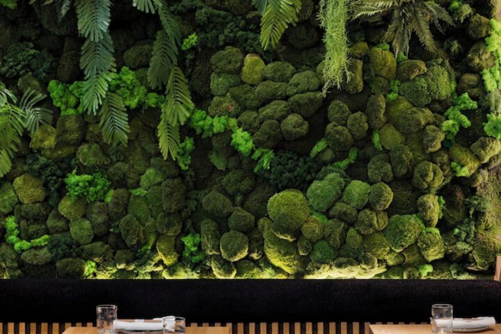 Dining 85 of 182