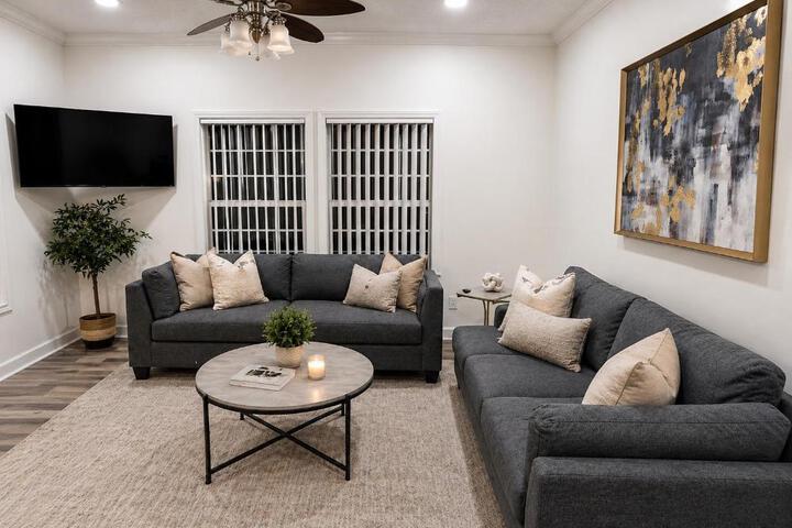 Beautiful & Modern Valrico Apartment