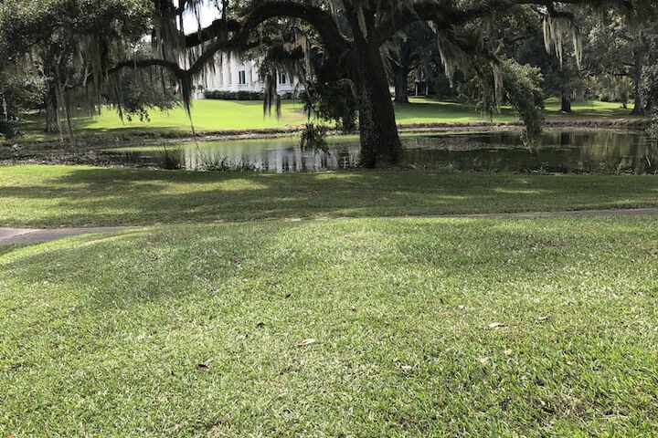 Greenwood Plantation B & B