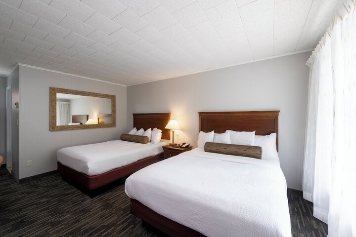 Scottys Lakeside Resort