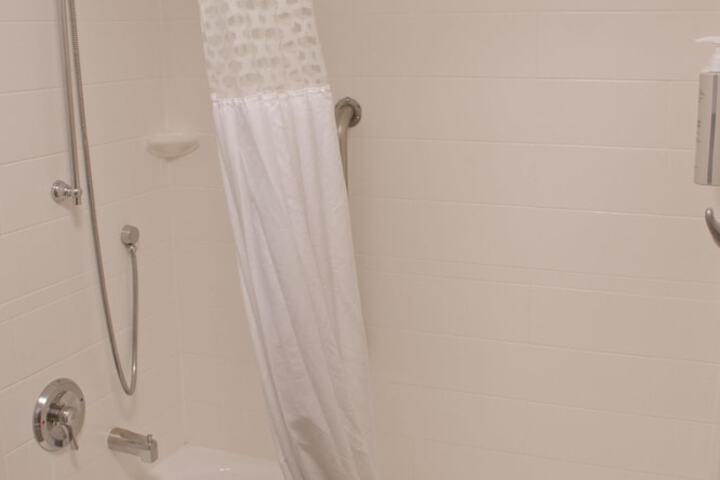 Hampton Inn & Suites Denver-Speer Boulevard