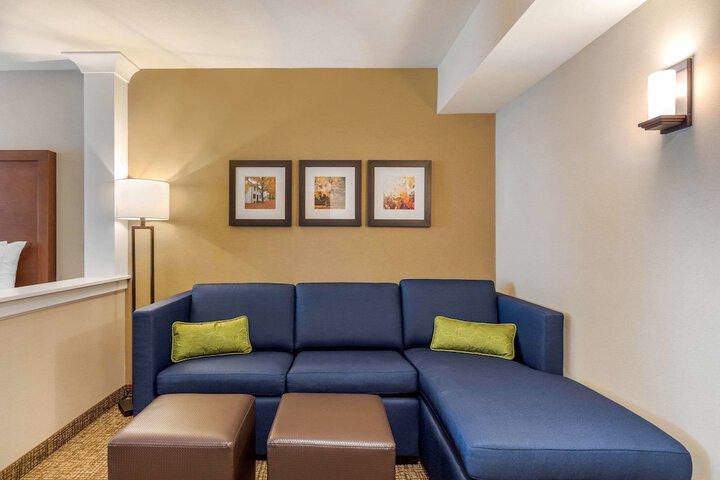 Comfort Inn & Suites Schenectady - Scotia
