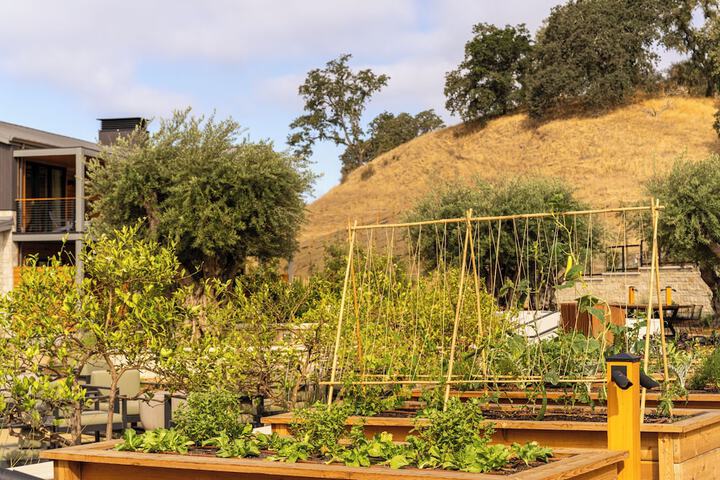 Appellation Healdsburg