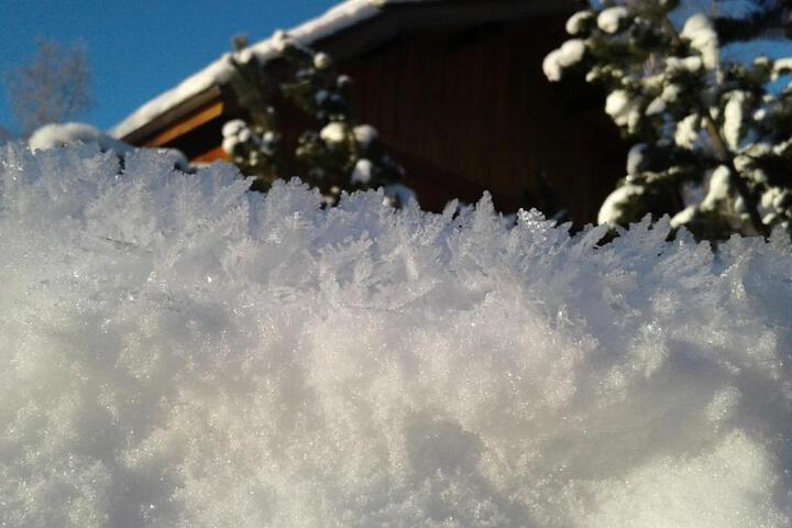 Alaska Chalet Bed & Breakfast