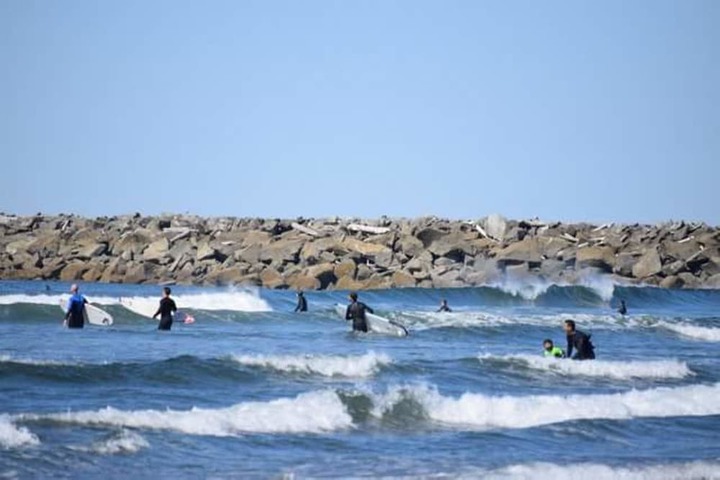 Islander Westport