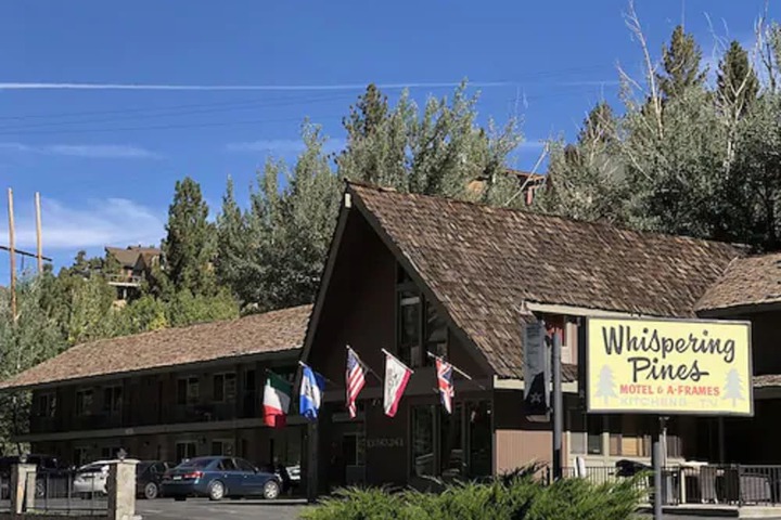 Whispering Pines