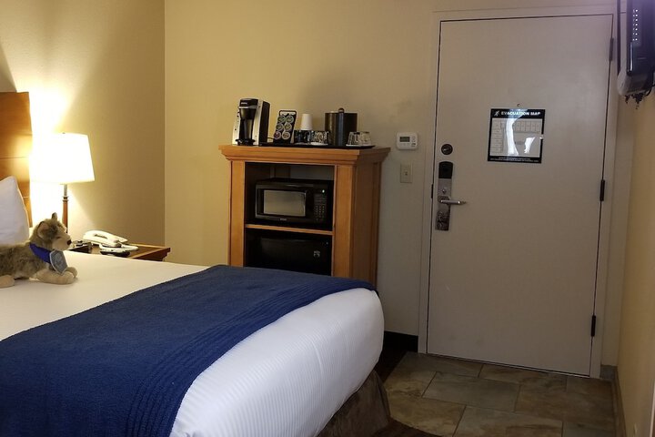 Room 43 of 67