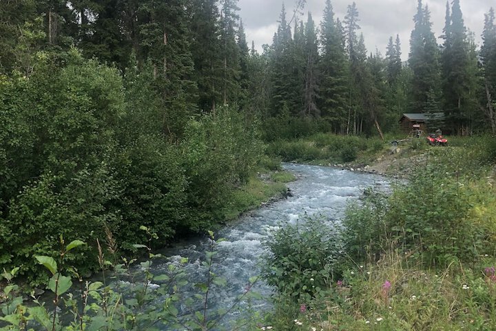 Carlo Creek Cabins