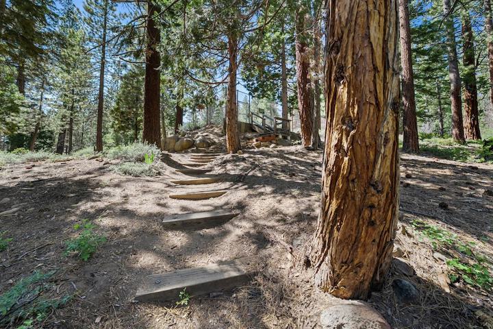 Enjoy Forest Views Retreat at Kingswood Village!