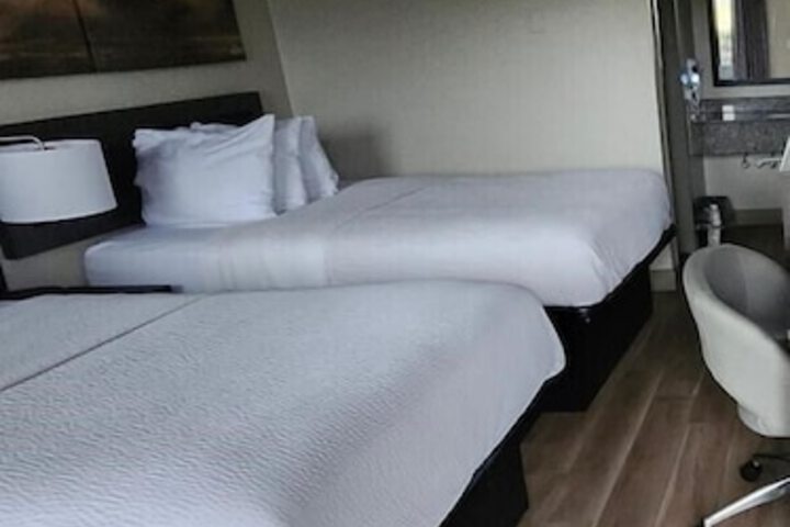 Room 3 of 11