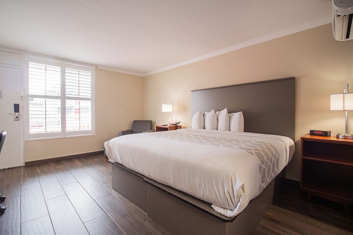 Room 42 of 49