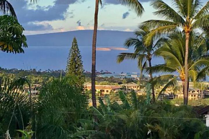 Pulelehua Nani