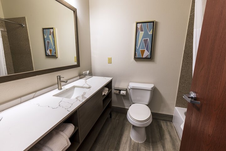 Comfort Inn & Suites New Iberia - Avery Island