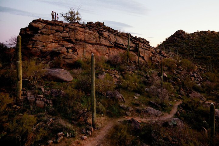 The Ritz-Carlton Dove Mountain