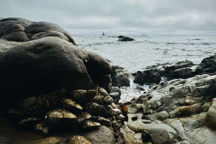 Ocean View Inn