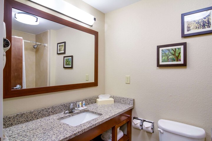 Comfort Inn Blackshear Hwy 84