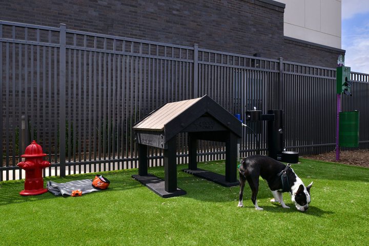 Pet Friendly 54 of 58