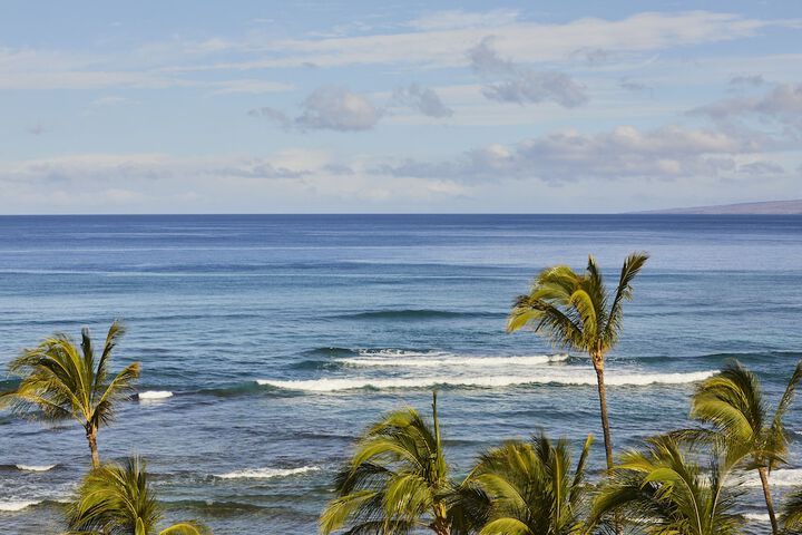 Beach 103 of 134