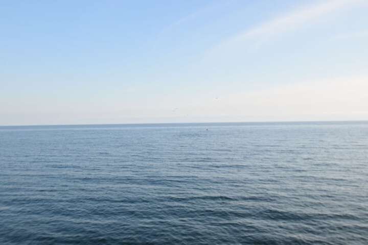 Malibu Beach Paradise Apartments