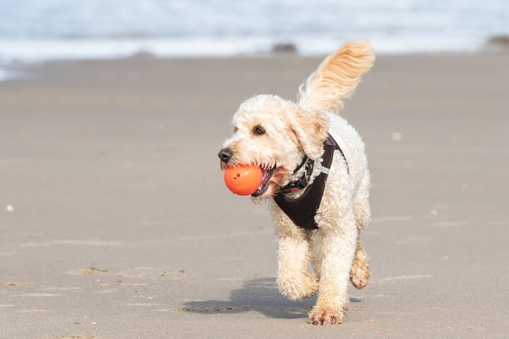 Holiday Inn Express Hilton Head Island by IHG