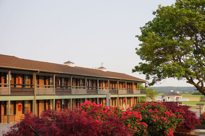 Hotel 6 of 65