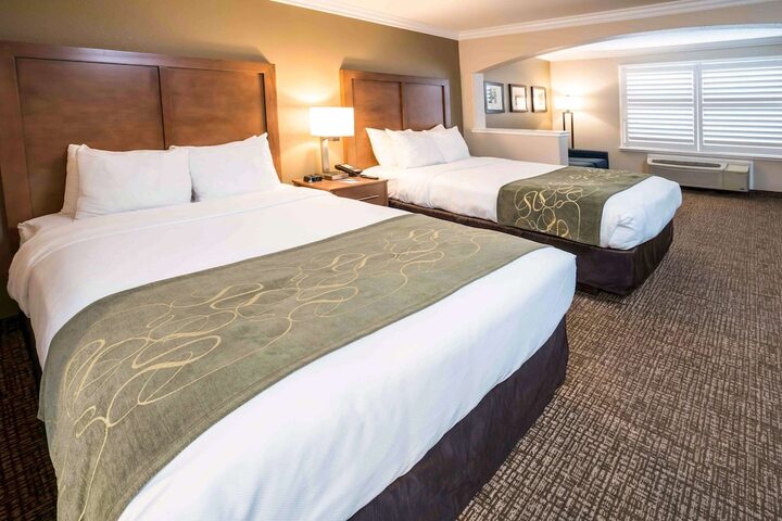 Room 20 of 31
