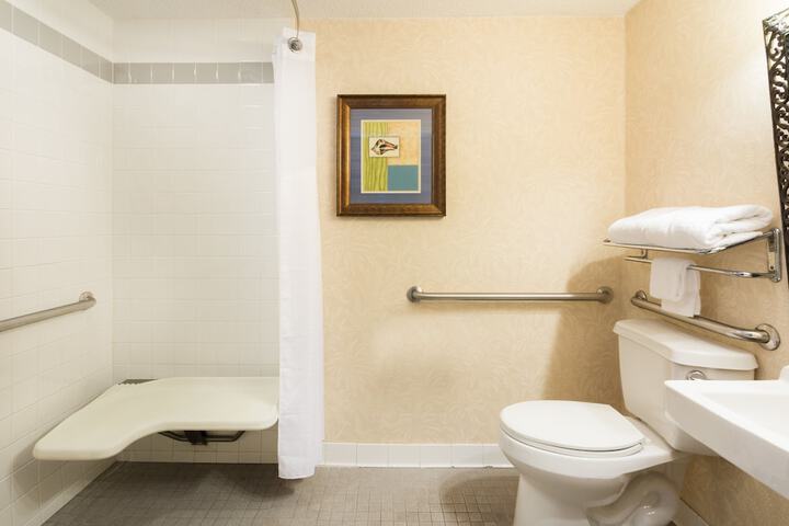 Holiday Inn & Suites Clearwater Beach S-Harbourside by IHG