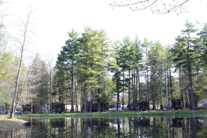 Alpine Lake Lakefront Cabin 7