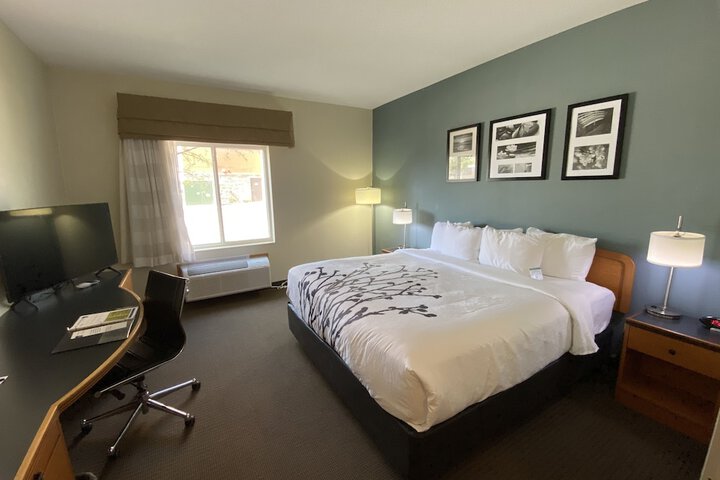 Room 15 of 43