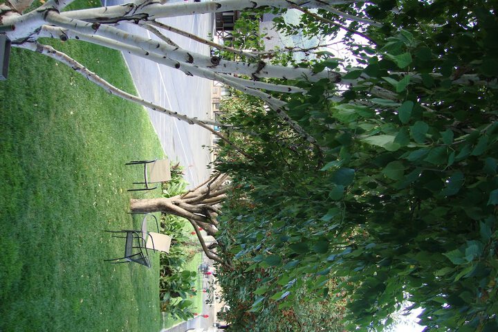 Property Grounds 51 of 54