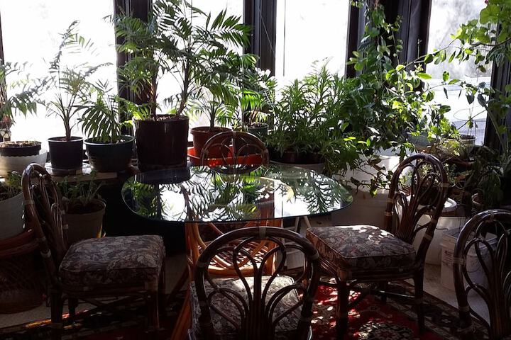 Chestnut Charm Bed & Breakfast