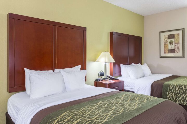 Comfort Inn Decatur Priceville