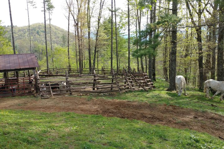 Arrowmont Stables & Cabins