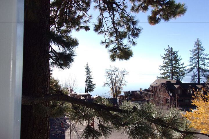 Pepper Tree Inn