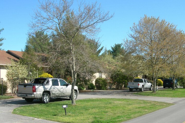 Baneberry Golf and Resort