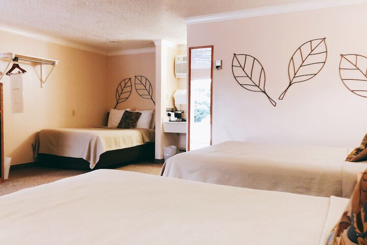 Room 61 of 81