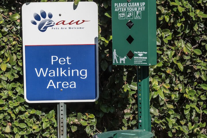 Pet Friendly 26 of 32