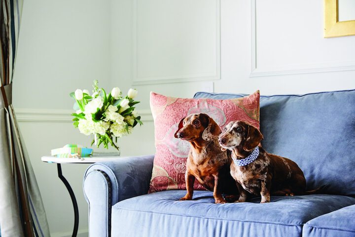 Pet Friendly 137 of 148