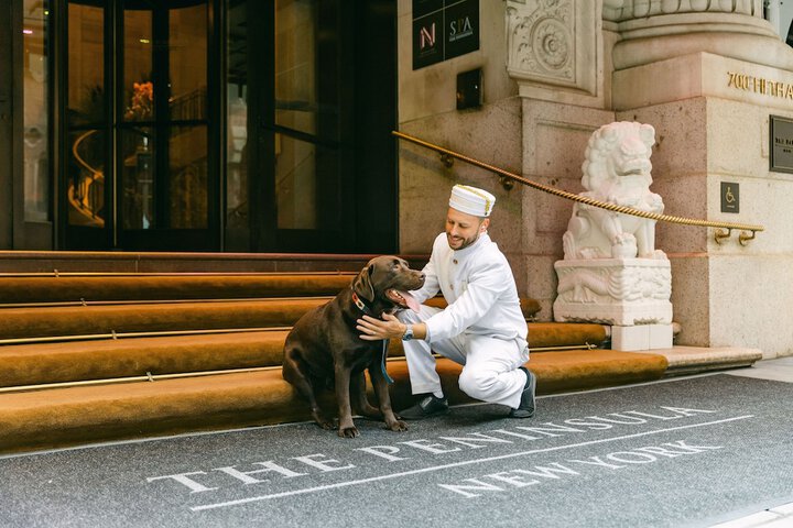 Pet Friendly 98 of 101