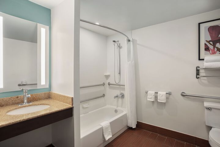 Hilton Garden Inn Tampa North Busch Gardens